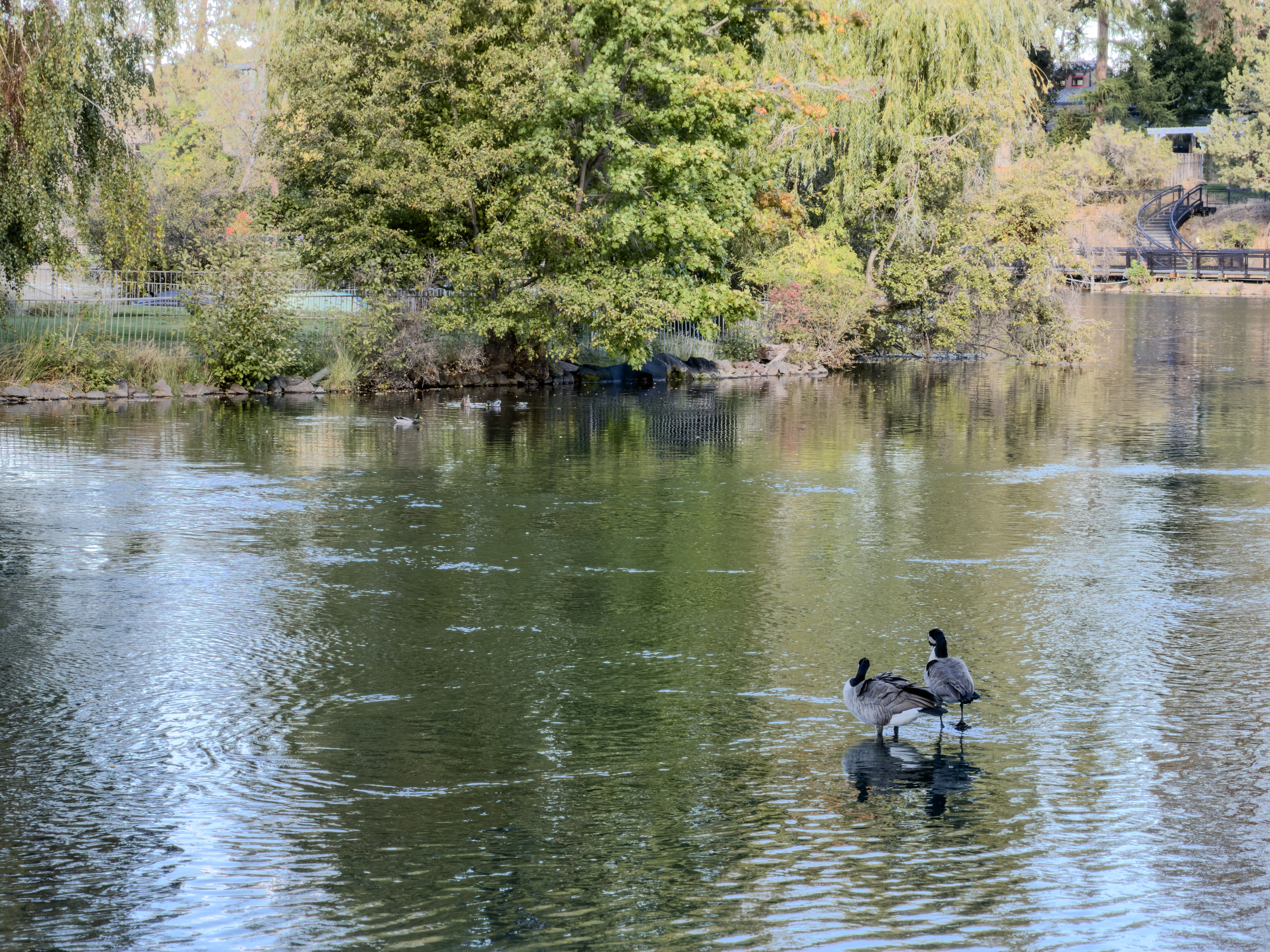 The same photo after compression with the Maximum Quality profile